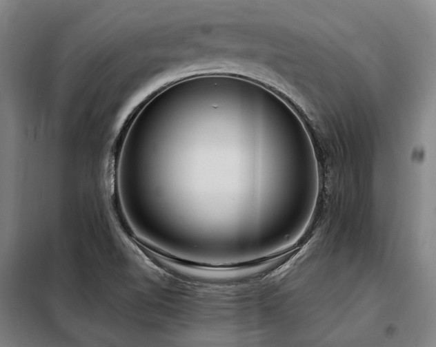 X0000098121510200804041356