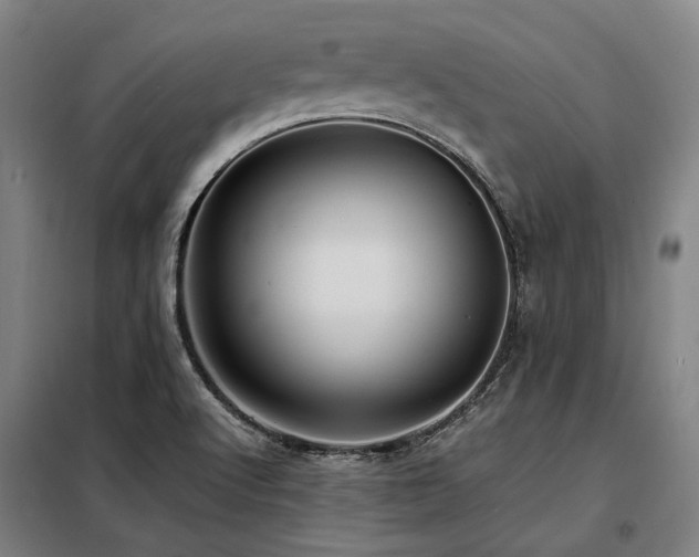 X0000098121512200804041356