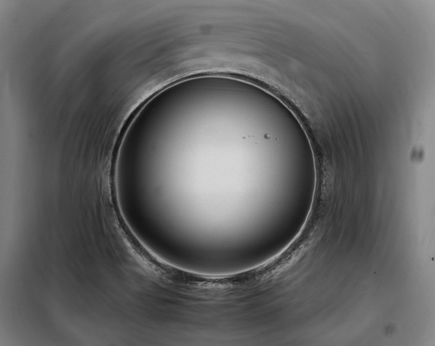 X0000098121513200804041356