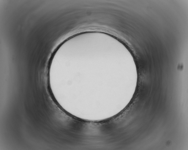 X0000098121514200804041356