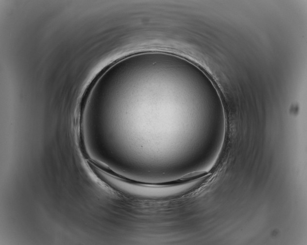 X0000098121515200804041356