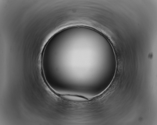 X0000098121516200804041356