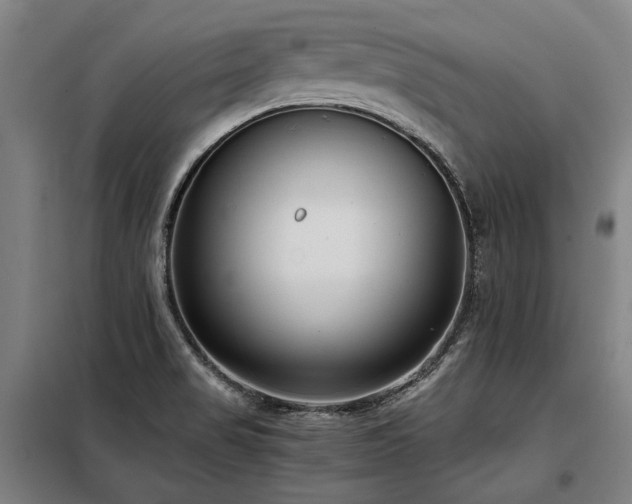 X0000098121517200804041356