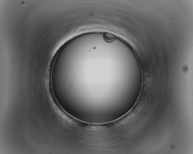 X0000098121518200804041356