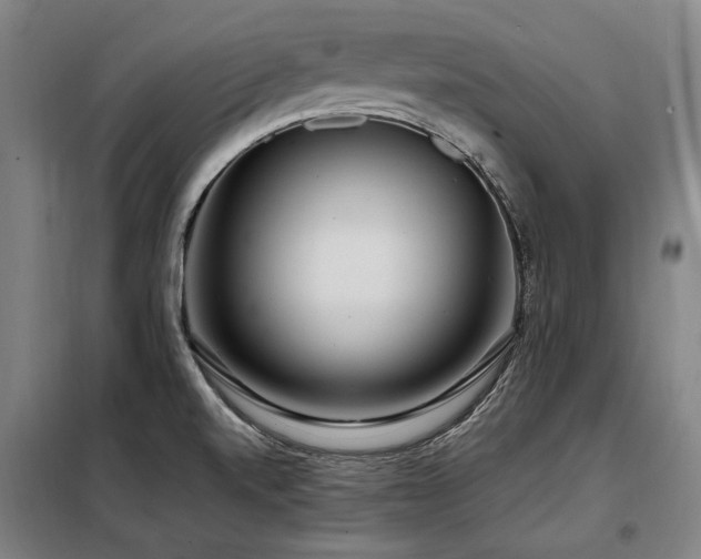X0000098121520200804041356
