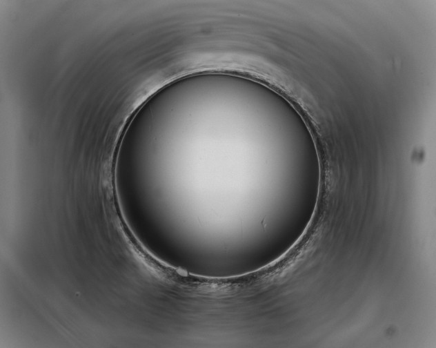X0000098121521200804041356