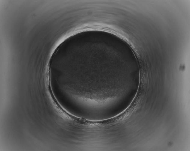 X0000098121522200804041356