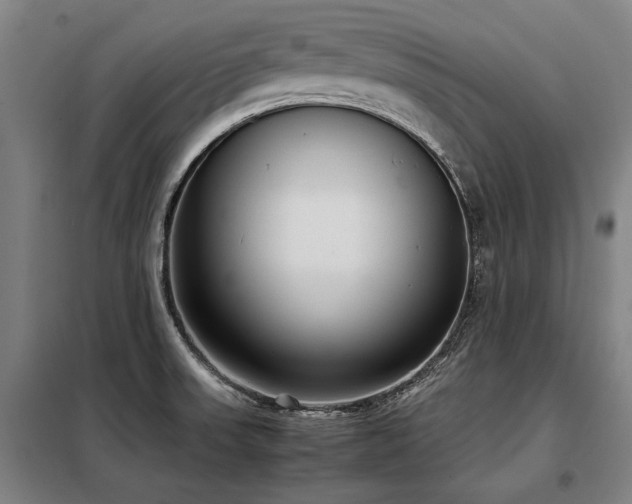 X0000098121523200804041356