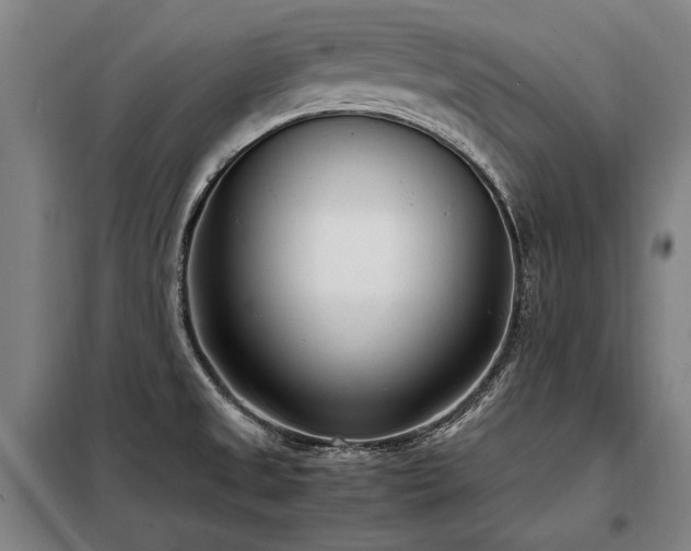 X0000098121525200804041356