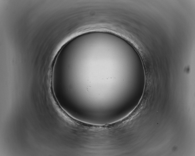X0000098121526200804041356
