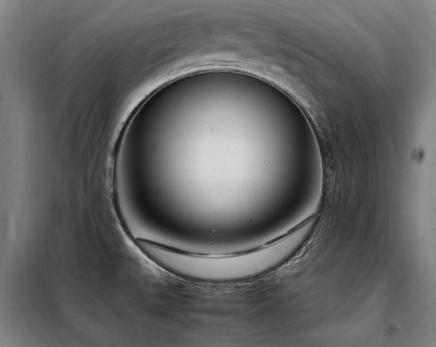 X0000098121527200804041356