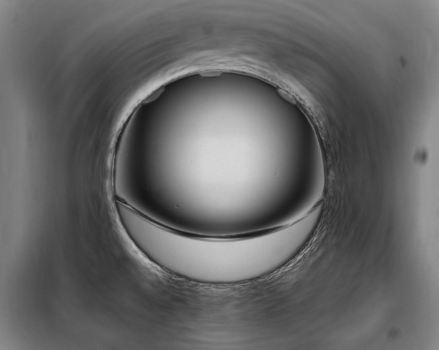 X0000098121528200804041356