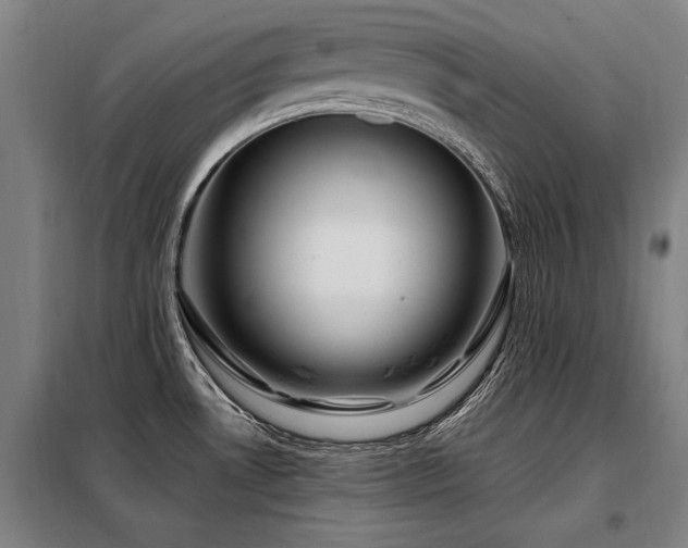 X0000098121530200804041356