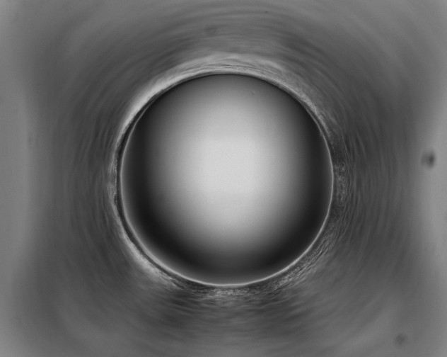 X0000098121531200804041356