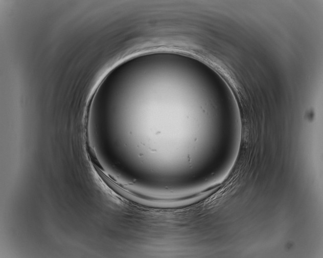 X0000098121532200804041356