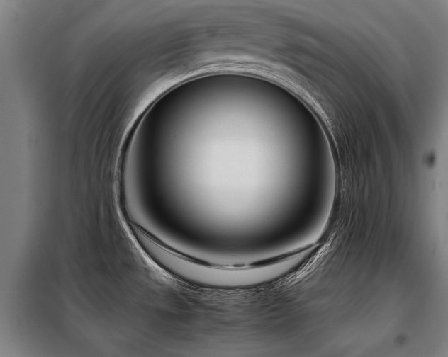 X0000098121533200804041356