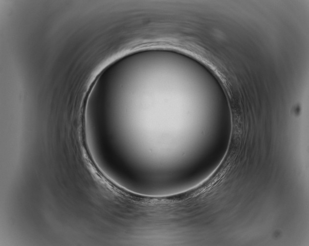 X0000098121534200804041356