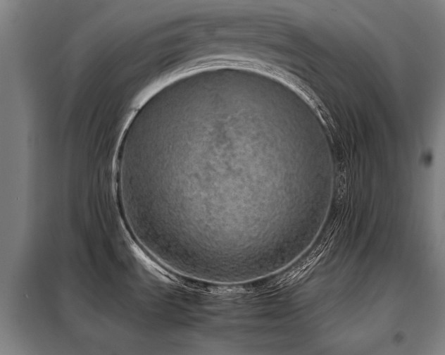 X0000098121535200804041356