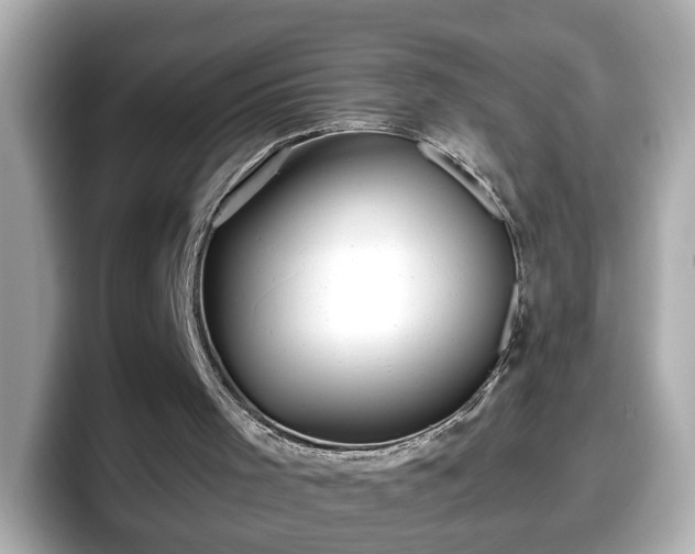 X0000098120001200804111124