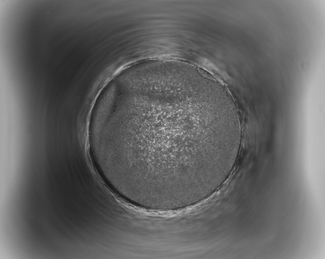 X0000098120002200804111124