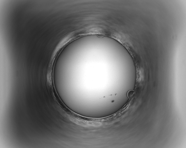 X0000098120004200804111124
