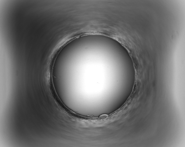 X0000098120005200804111124