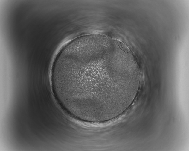 X0000098120006200804111124