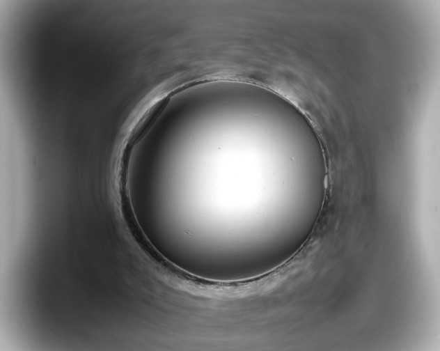 X0000098120007200804111124