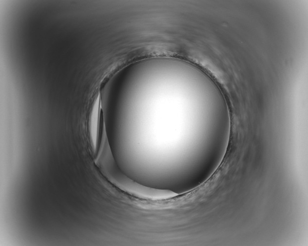 X0000098120009200804111124