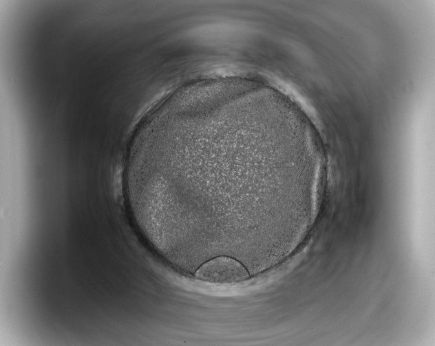 X0000098120010200804111124