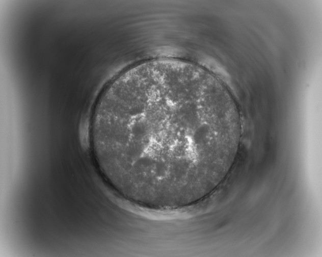 X0000098120012200804111124