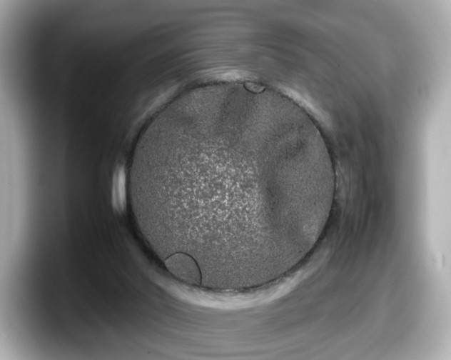 X0000098120014200804111124