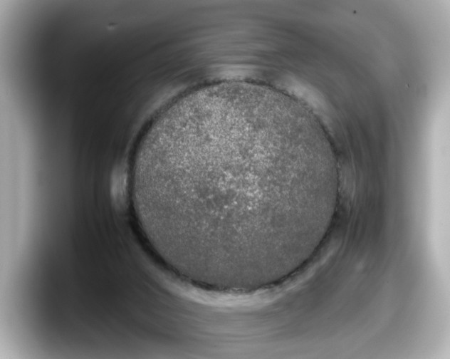 X0000098120016200804111124