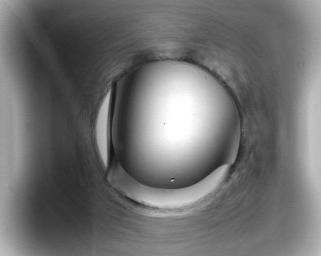 X0000098120017200804111124