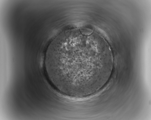 X0000098120018200804111124