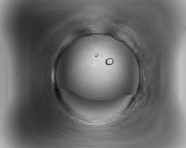 X0000098120019200804111124