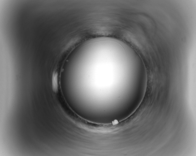X0000098120020200804111124