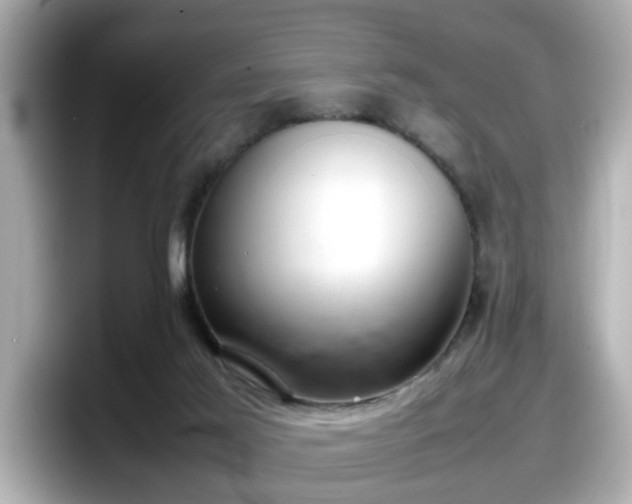 X0000098120021200804111124