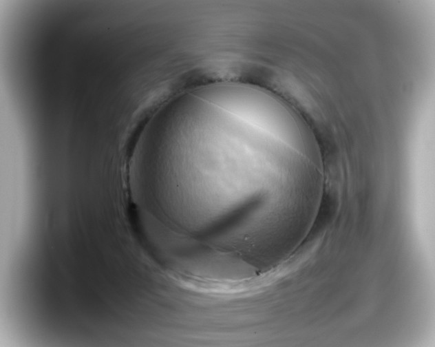 X0000098120023200804111124
