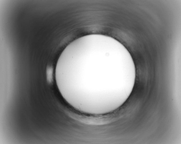 X0000098120024200804111124