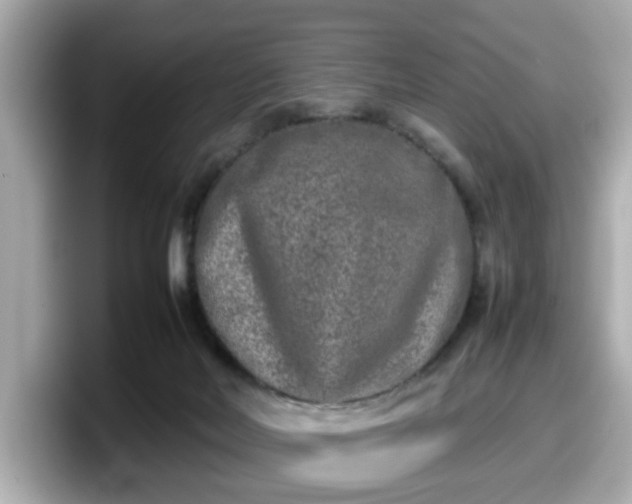 X0000098120026200804111124