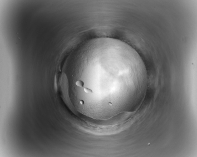 X0000098120027200804111124