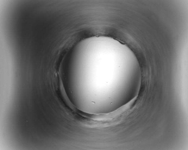 X0000098120029200804111124