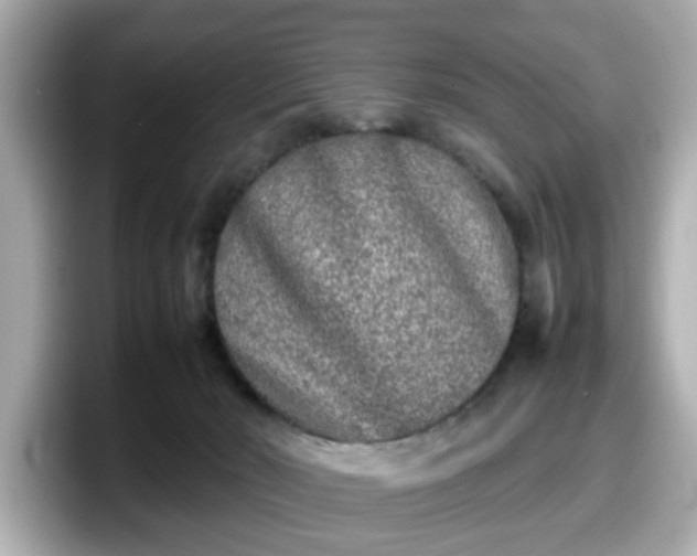 X0000098120030200804111124