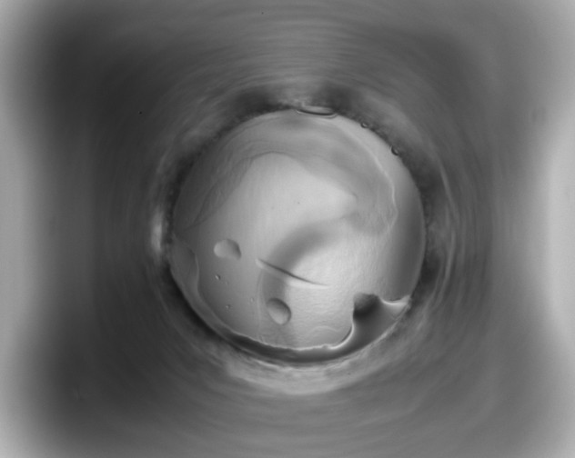 X0000098120031200804111124