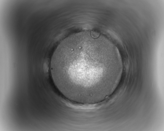 X0000098120032200804111124