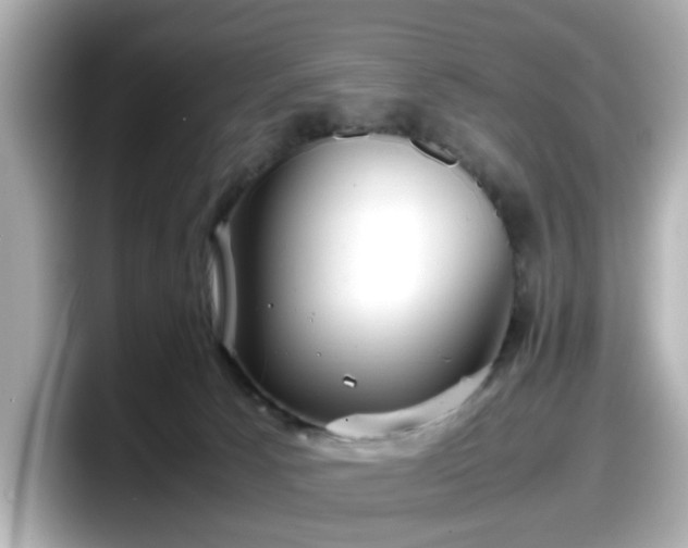 X0000098120033200804111124