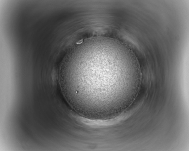 X0000098120034200804111124