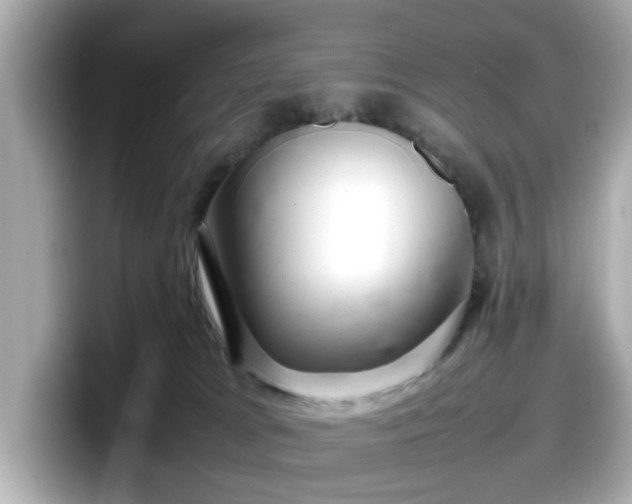 X0000098120037200804111124