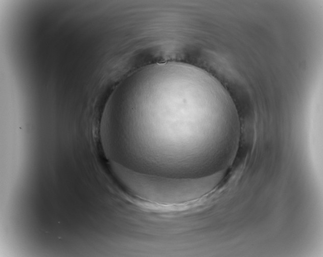 X0000098120039200804111124